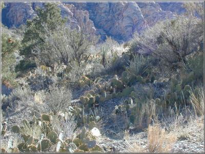 DSCN0158