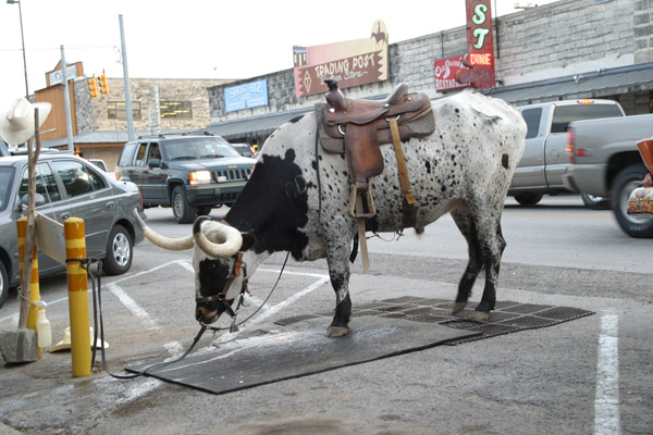 05.10.Spike.San Antonio0090