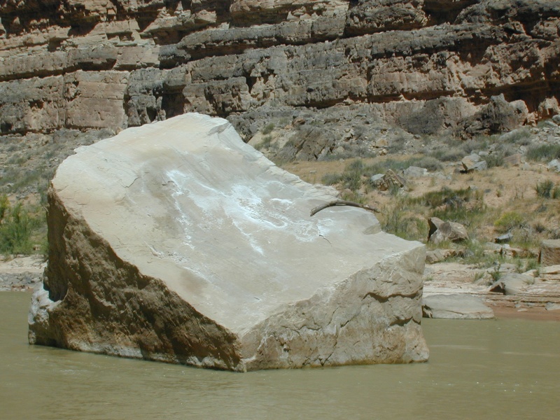 DSCN0042