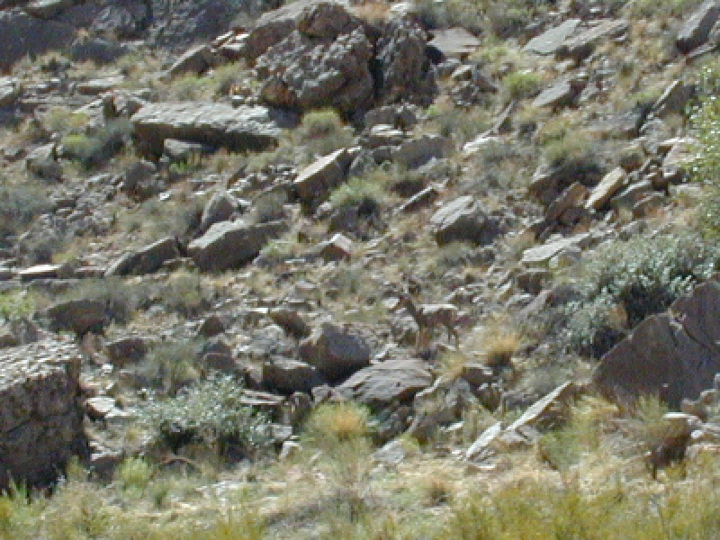 DSCN0066