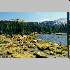 Beverly Lake