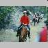 Trail Riders