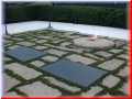 DSCN0073