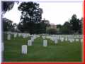 DSCN0081